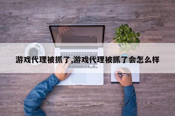游戏代理被抓了,游戏代理被抓了会怎么样