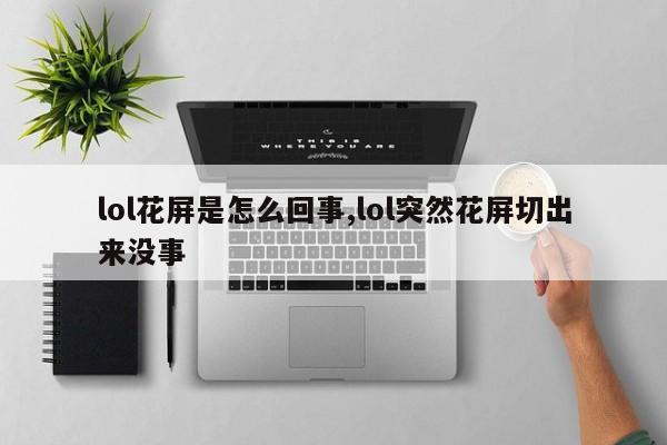 lol花屏是怎么回事,lol突然花屏切出来没事