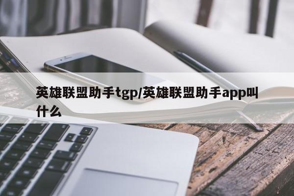 英雄联盟助手tgp/英雄联盟助手app叫什么