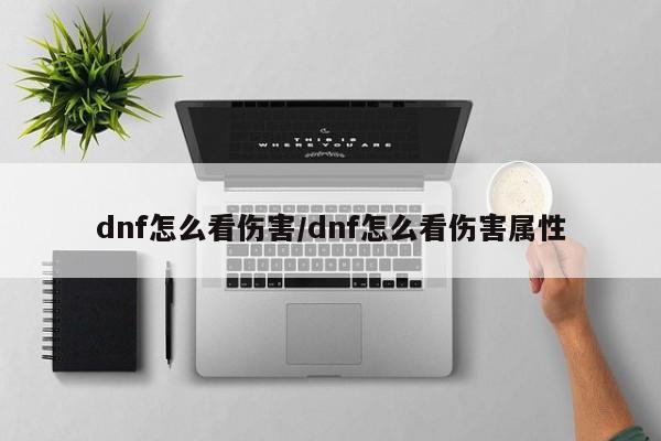 dnf怎么看伤害/dnf怎么看伤害属性
