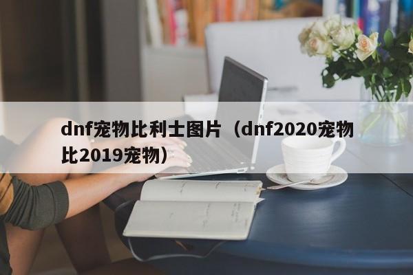 dnf宠物比利士图片(dnf2020宠物比2019宠物)