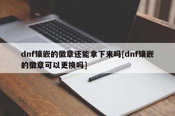 dnf镶嵌的徽章还能拿下来吗[dnf镶嵌的徽章可以更换吗]