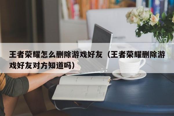 王者荣耀怎么删除游戏好友（王者荣耀删除游戏好友对方知道吗）