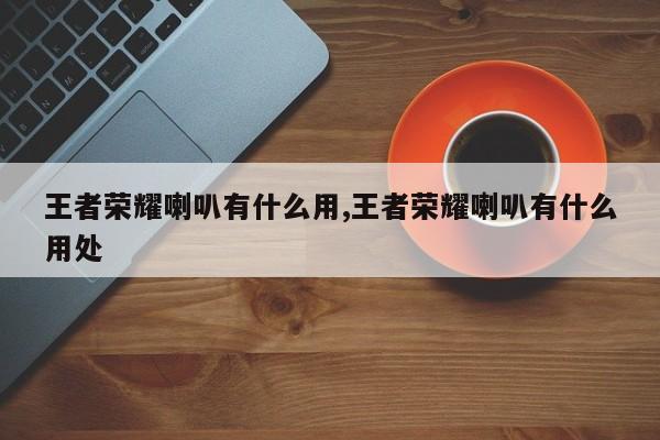 王者荣耀喇叭有什么用,王者荣耀喇叭有什么用处