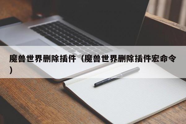 魔兽世界删除插件（魔兽世界删除插件宏命令）